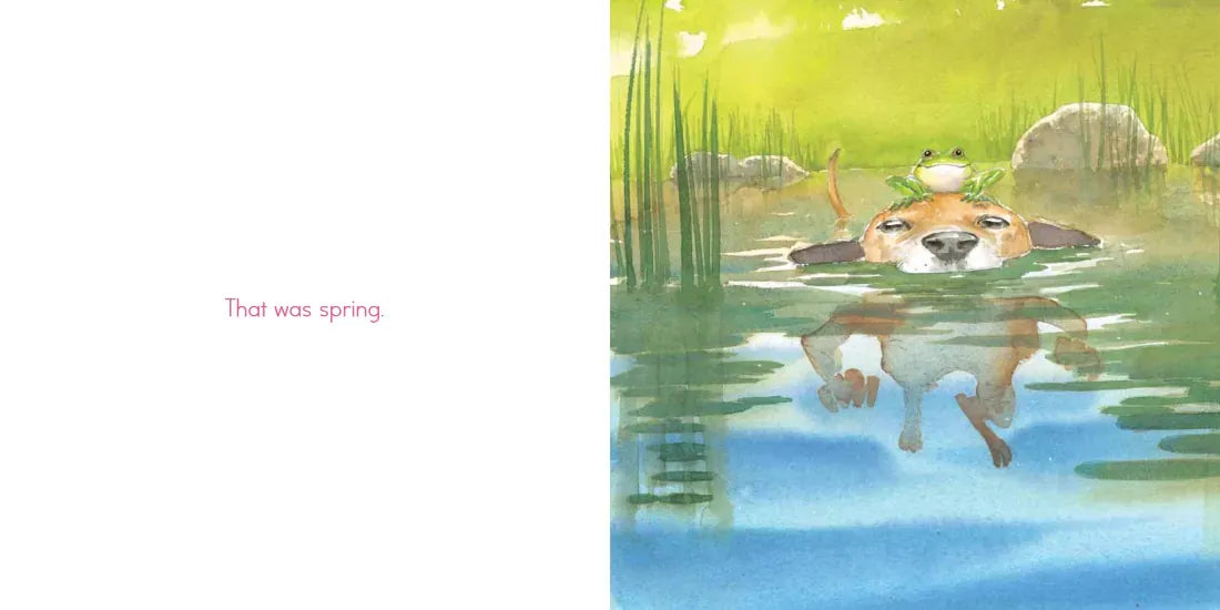 City Dog, Country Frog US - Hardback