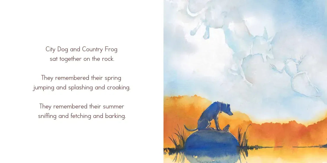 City Dog, Country Frog US - Hardback