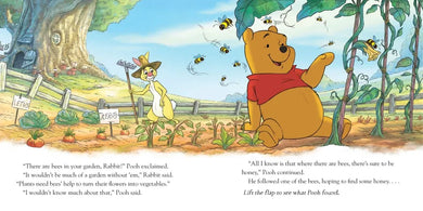 Winnie the Pooh: Pooh's Secret Garden: A Lift-the-Flap Book US - Paperback / softback