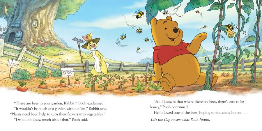 Winnie the Pooh: Pooh's Secret Garden: A Lift-the-Flap Book US - Paperback / softback