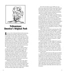 National Geographic Yellowstone and Grand Teton National Parks Road Guide US - Paperback / softback