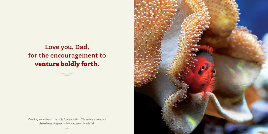 Love You, Dad US - Hardback