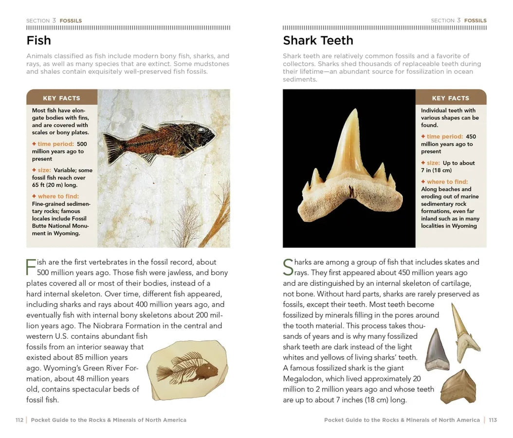 National Geographic Pocket Guide to Rocks and Minerals of North America US - Paperback / softback