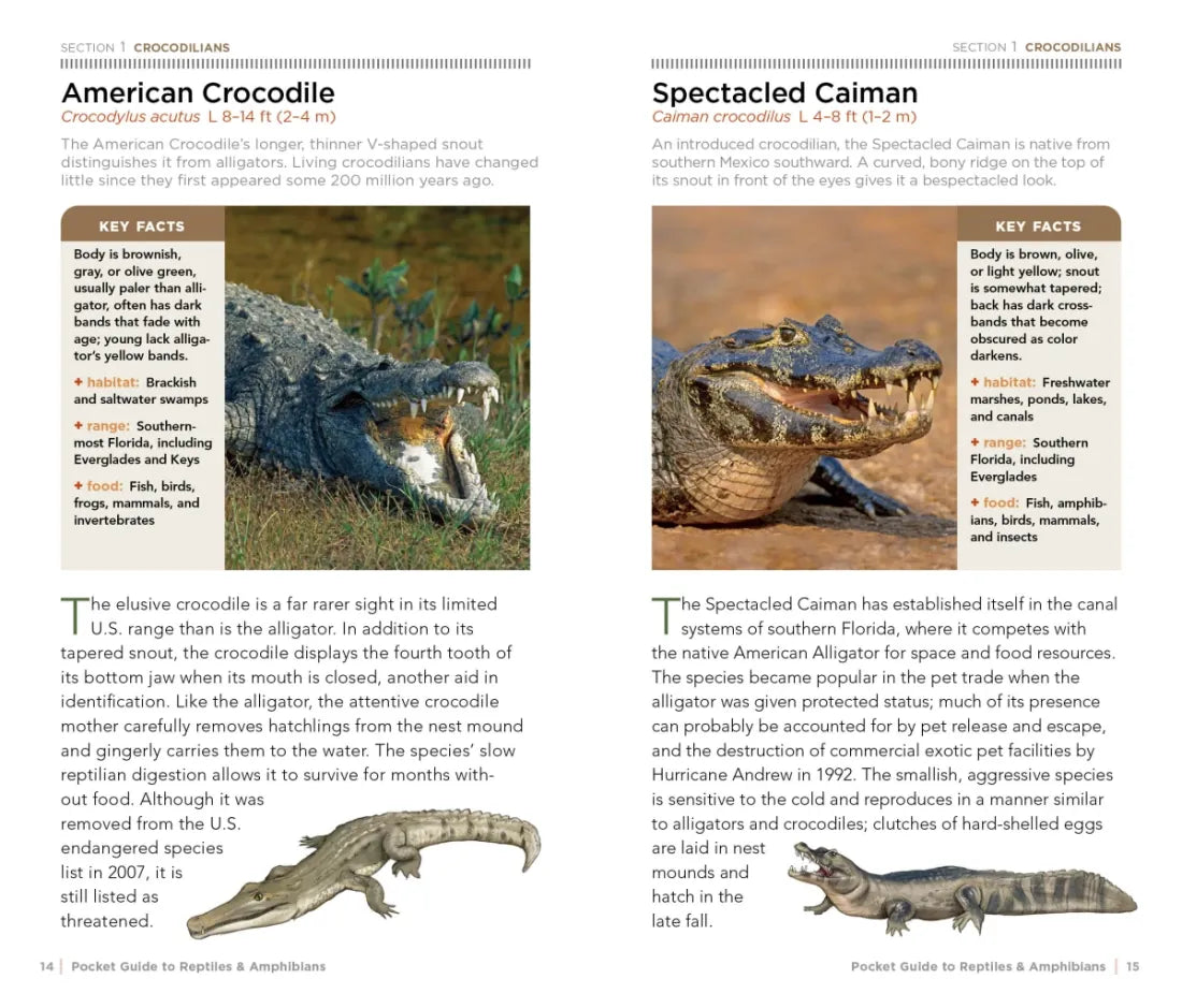 National Geographic Pocket Guide to Reptiles and Amphibians of North America US - Paperback / softback