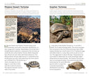 National Geographic Pocket Guide to Reptiles and Amphibians of North America US - Paperback / softback