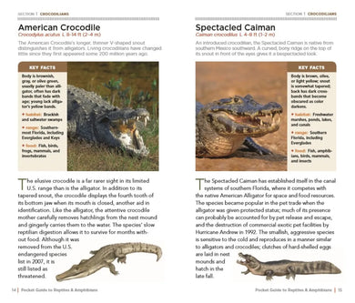 National Geographic Pocket Guide to Reptiles and Amphibians of North America US - Paperback / softback