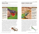 National Geographic Pocket Guide to Reptiles and Amphibians of North America US - Paperback / softback
