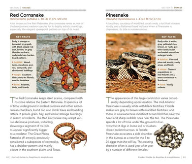 National Geographic Pocket Guide to Reptiles and Amphibians of North America US - Paperback / softback