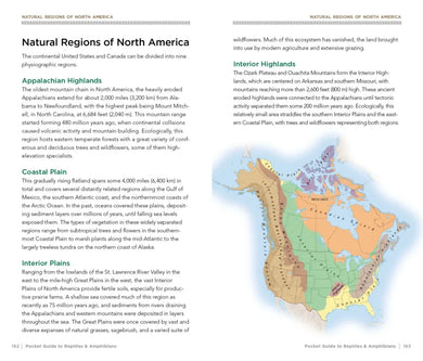 National Geographic Pocket Guide to Reptiles and Amphibians of North America US - Paperback / softback