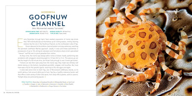 100 Dives of a Lifetime US - Hardback