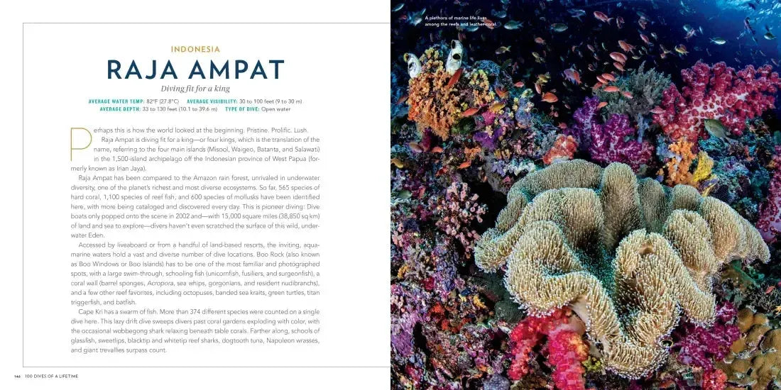 100 Dives of a Lifetime US - Hardback