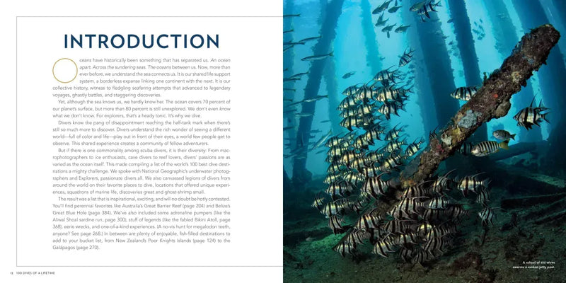 100 Dives of a Lifetime US - Hardback