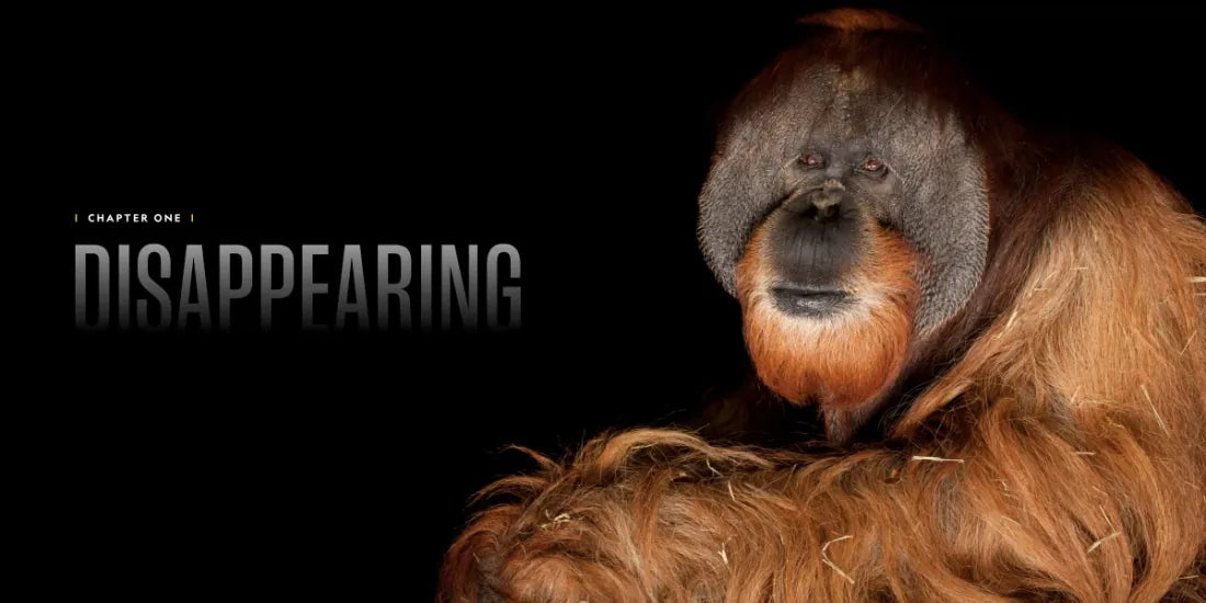 National Geographic The Photo Ark Vanishing US - Hardback