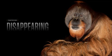 National Geographic The Photo Ark Vanishing US - Hardback