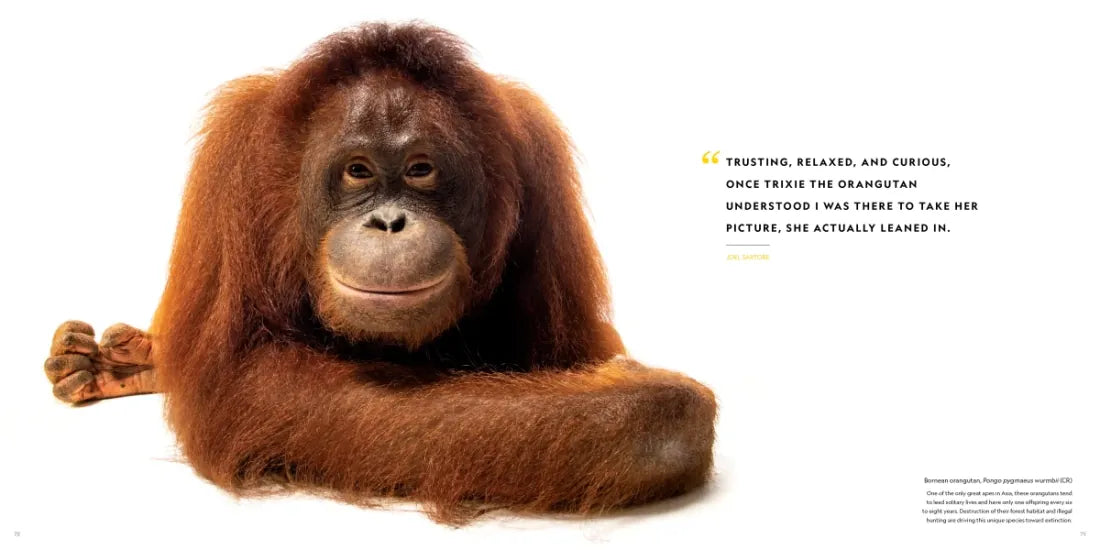National Geographic The Photo Ark Vanishing US - Hardback