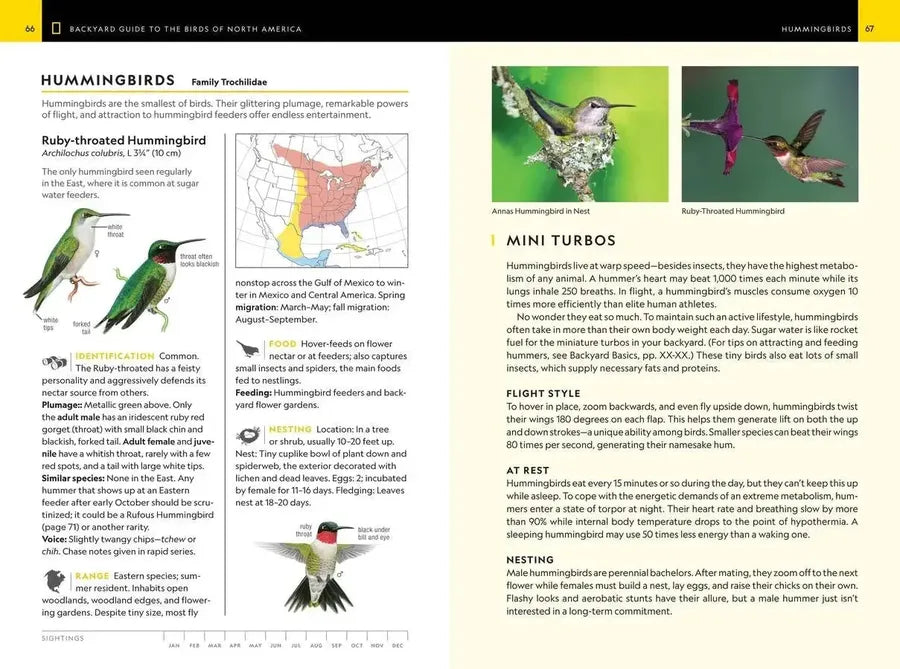 National Geographic Backyard Guide to the Birds of North America, 2nd Edition US - Paperback / softback