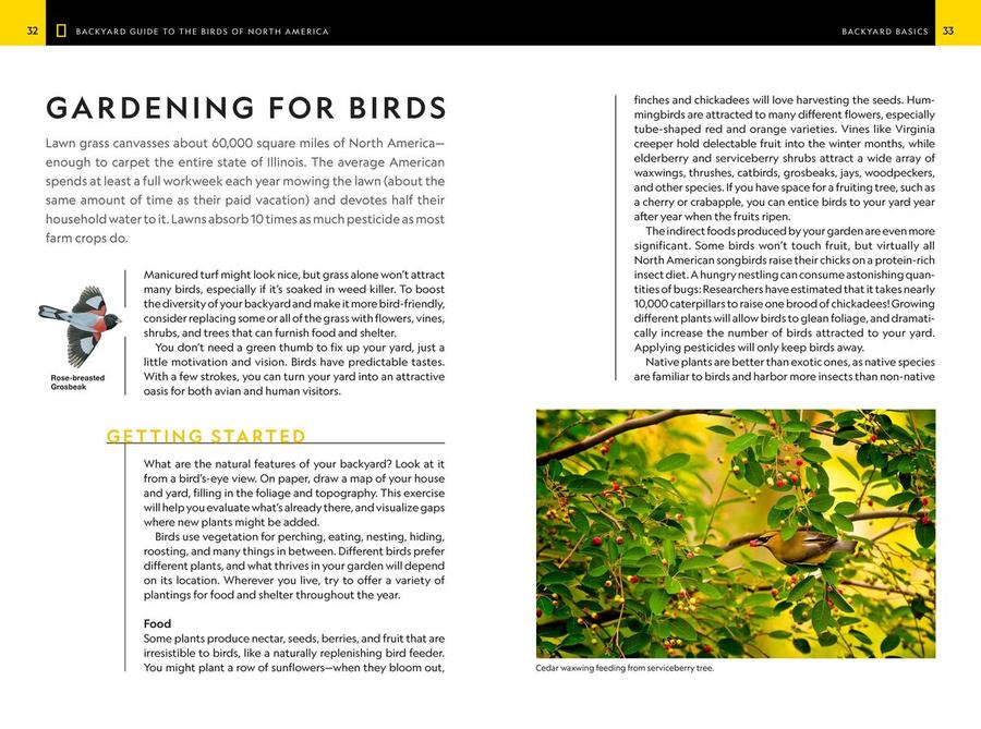 National Geographic Backyard Guide to the Birds of North America, 2nd Edition US - Paperback / softback
