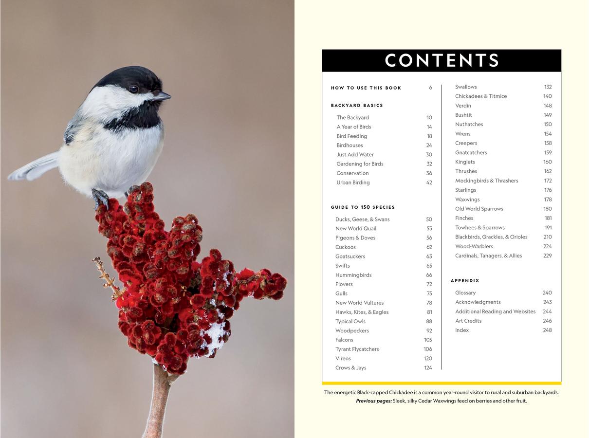 National Geographic Backyard Guide to the Birds of North America, 2nd Edition US - Paperback / softback