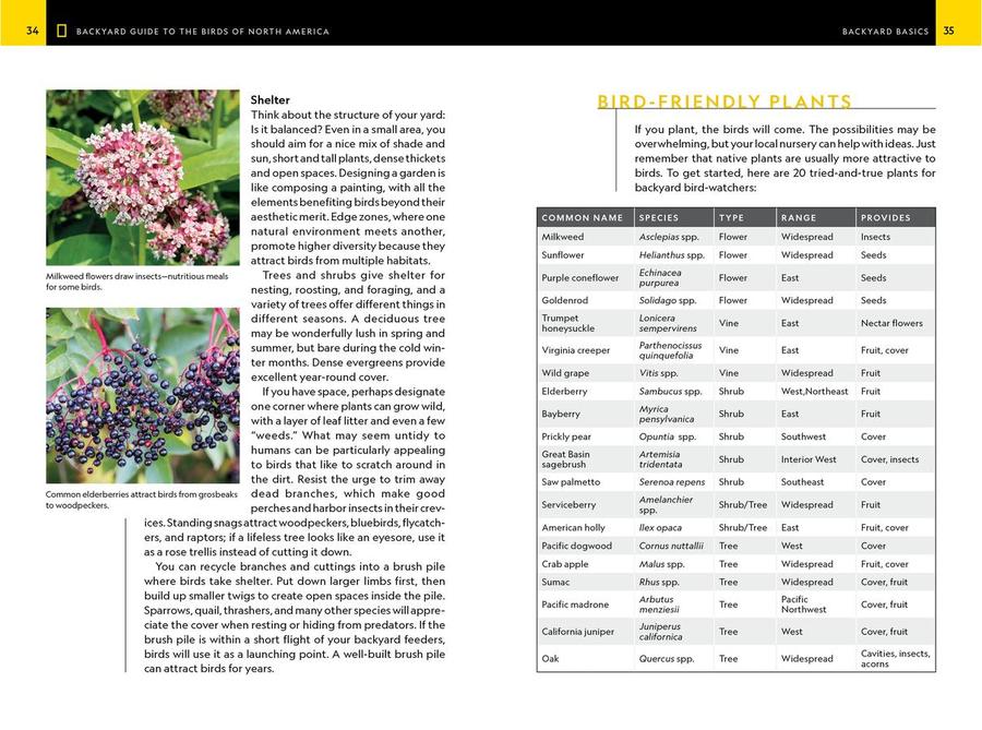 National Geographic Backyard Guide to the Birds of North America, 2nd Edition US - Paperback / softback