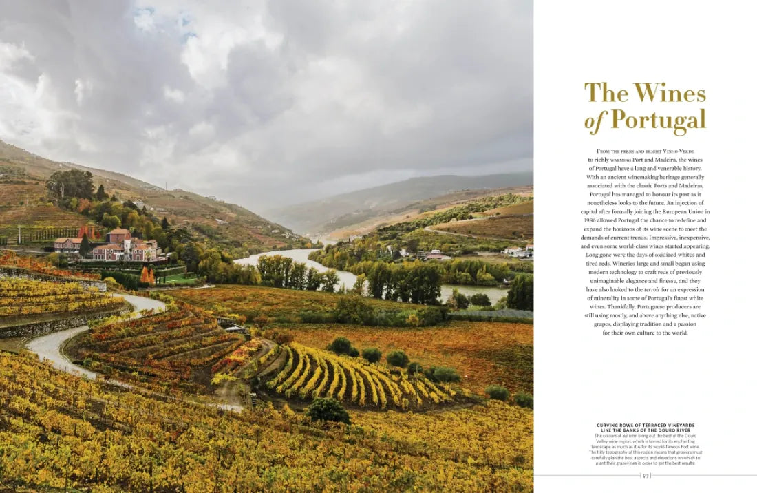 The New Sotheby's Wine Encyclopedia US - Hardback