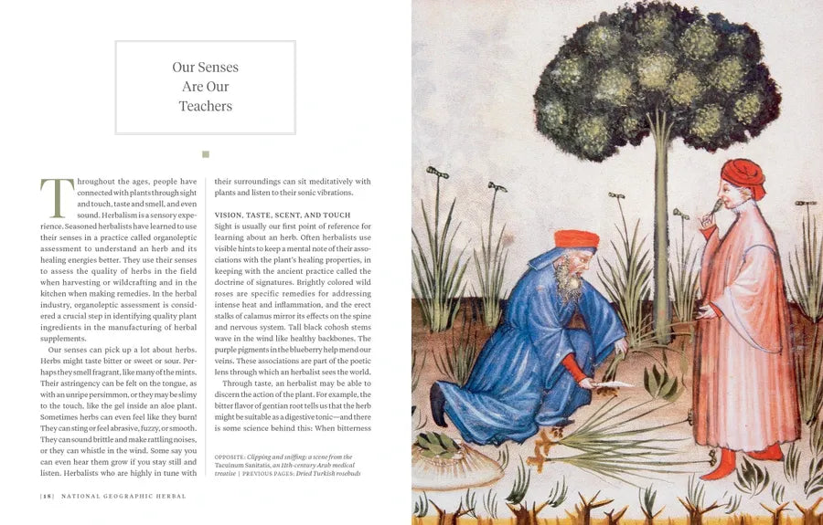 National Geographic Herbal US - Hardback