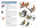 National Geographic Field Guide to the Birds of the United States and Canada—East, 2nd Edition US - Paperback / softback