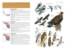 National Geographic Field Guide to the Birds of the United States and Canada—West, 2nd Edition US - Paperback / softback