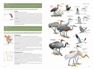National Geographic Field Guide to the Birds of the United States and Canada, 8th edition US - Paperback / softback