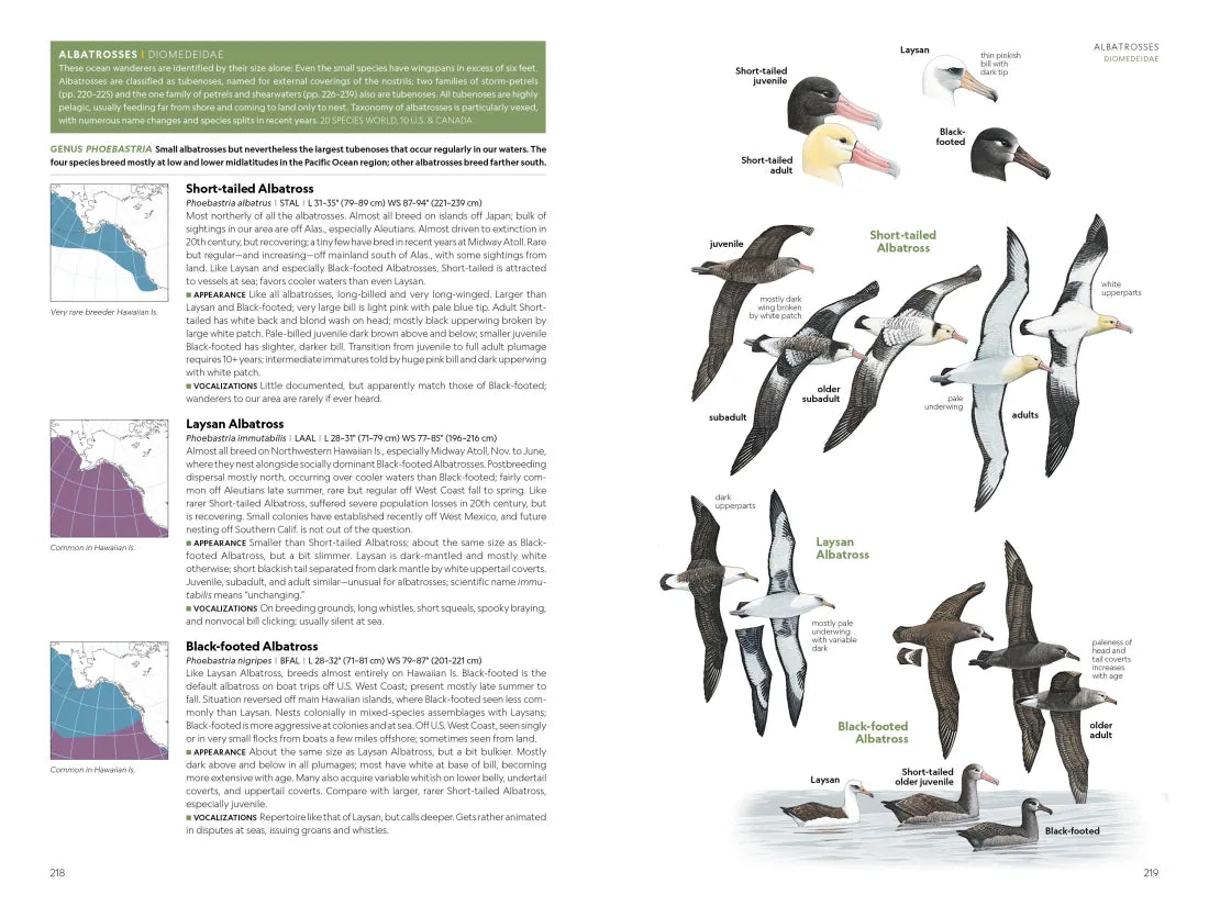 National Geographic Field Guide to the Birds of the United States and Canada, 8th edition US - Paperback / softback