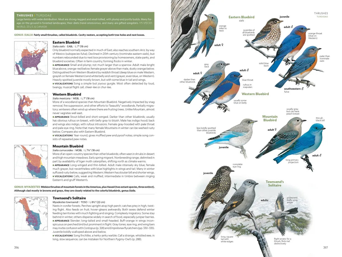 National Geographic Field Guide to the Birds of the United States and Canada, 8th edition US - Paperback / softback