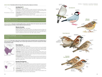 National Geographic Field Guide to the Birds of the United States and Canada, 8th edition US - Paperback / softback