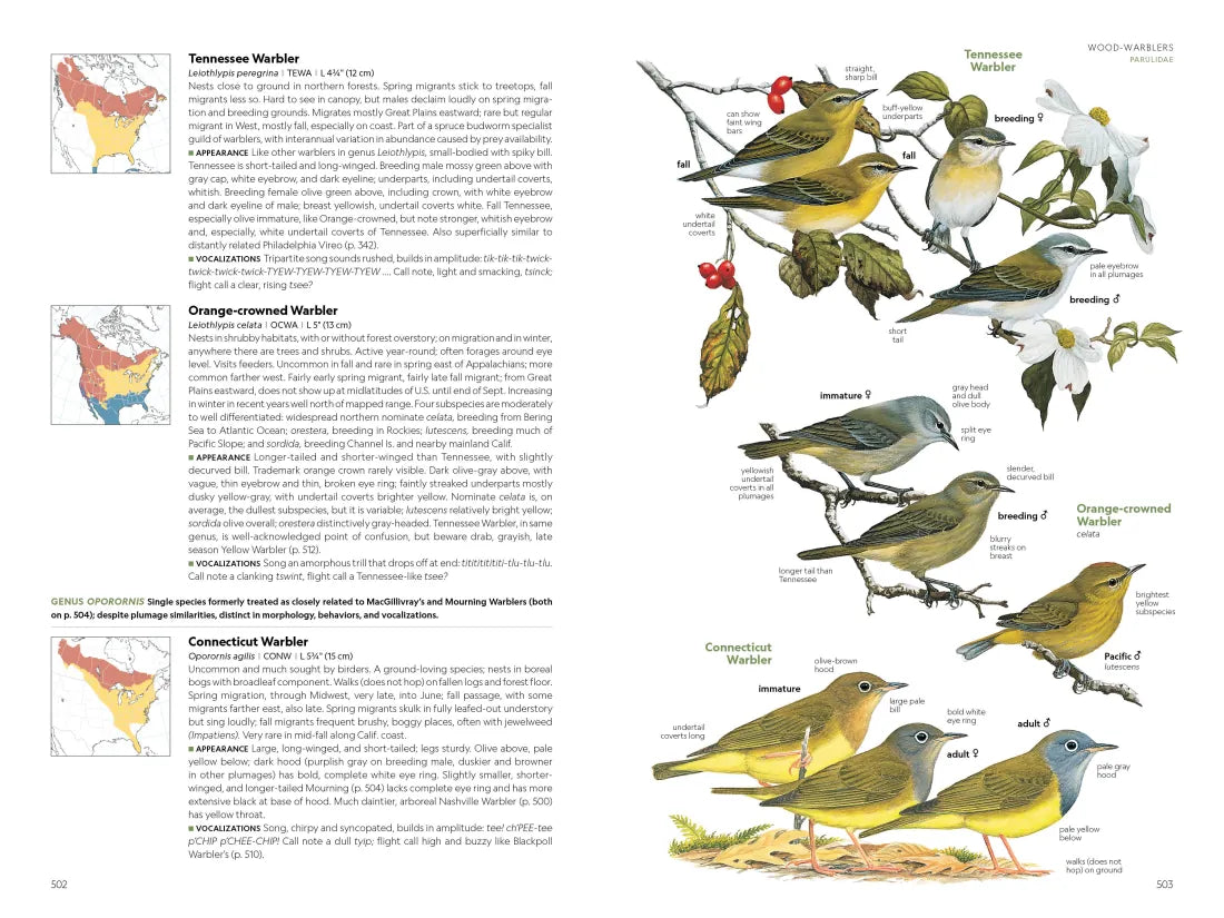 National Geographic Field Guide to the Birds of the United States and Canada, 8th edition US - Paperback / softback