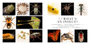 National Geographic Photo Ark Insects US - Hardback