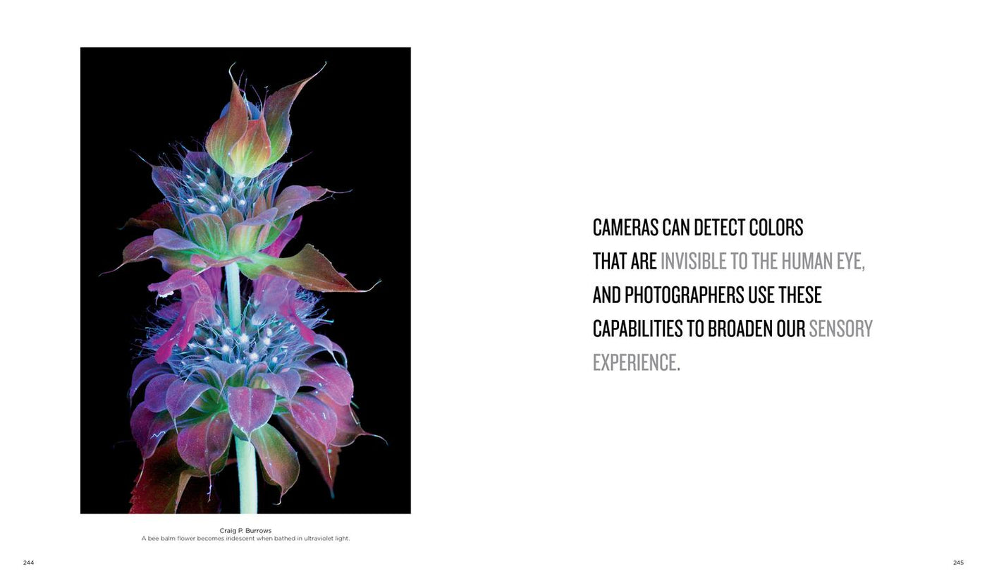 National Geographic Invisible Wonders US - Hardback