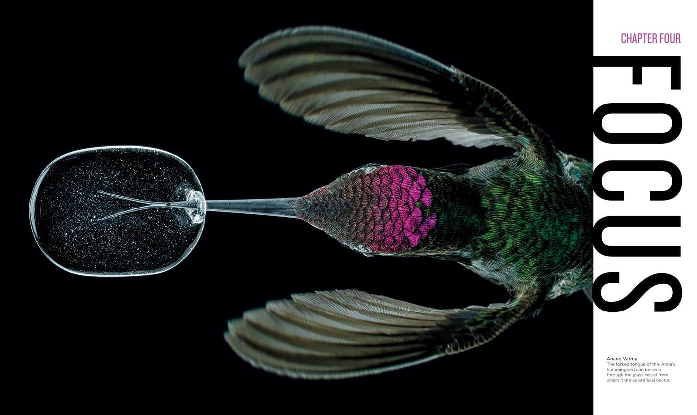 National Geographic Invisible Wonders US - Hardback