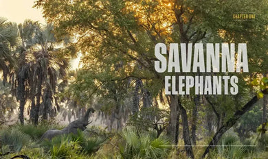 Secrets of the Elephants US - Hardback