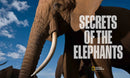 Secrets of the Elephants US - Hardback