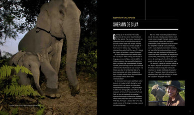 Secrets of the Elephants US - Hardback