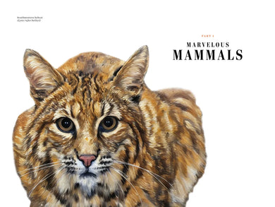 Grizzled US - Hardback