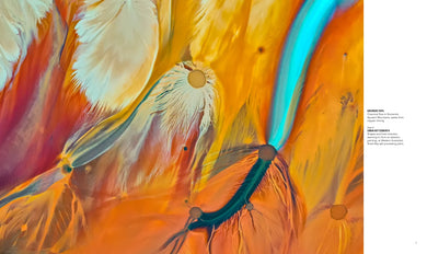 National Geographic World From Above US - Hardback