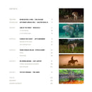 Path of the Panther US - Hardback