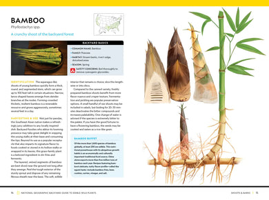 National Geographic Backyard Guide to Edible Wild Plants US - Paperback / softback