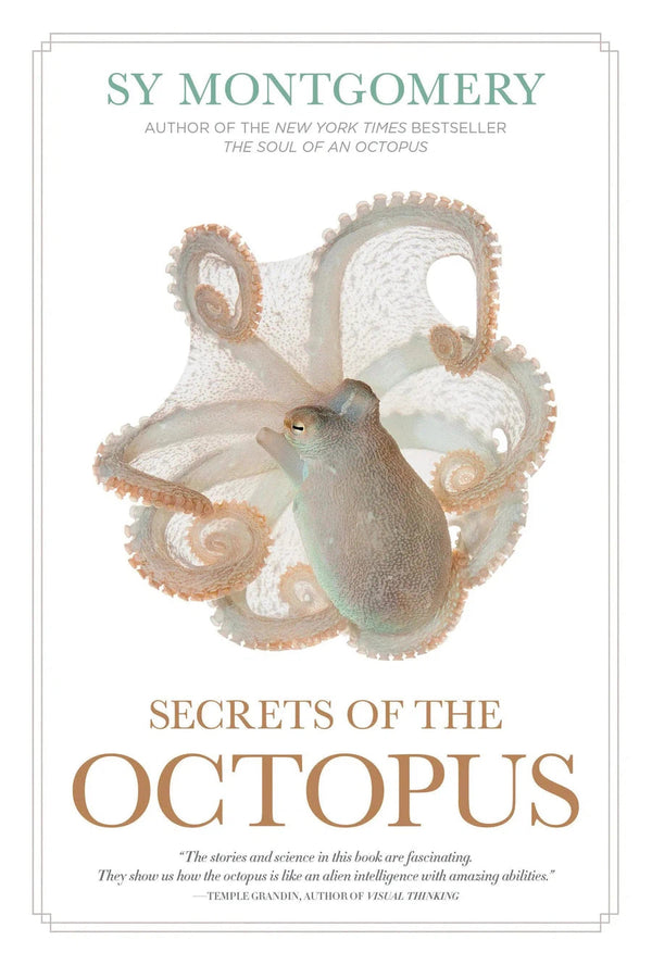 Secrets of the Octopus-Nature and the natural world: general interest-買書書 BuyBookBook