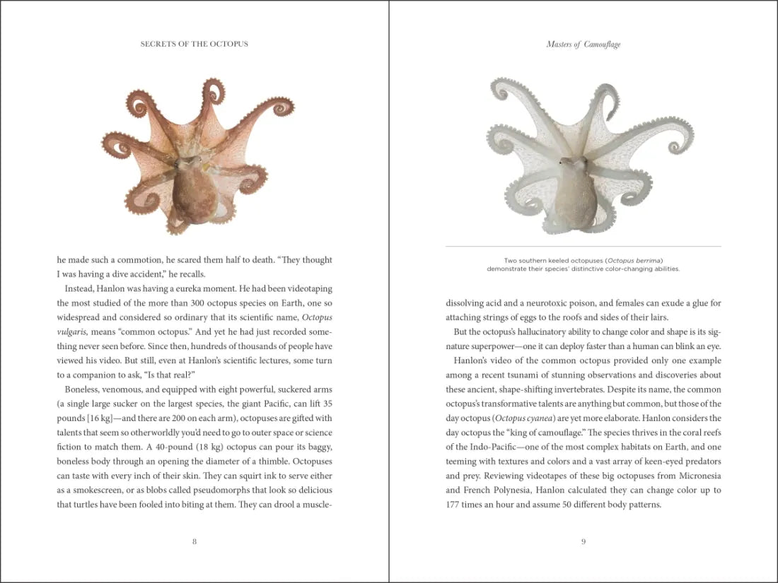 Secrets of the Octopus US - Hardback