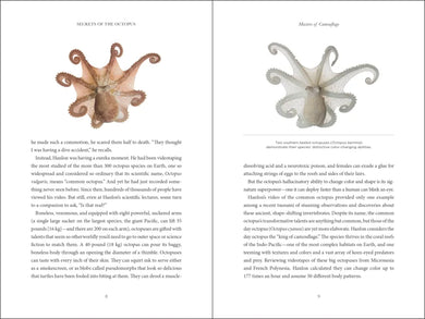 Secrets of the Octopus US - Hardback