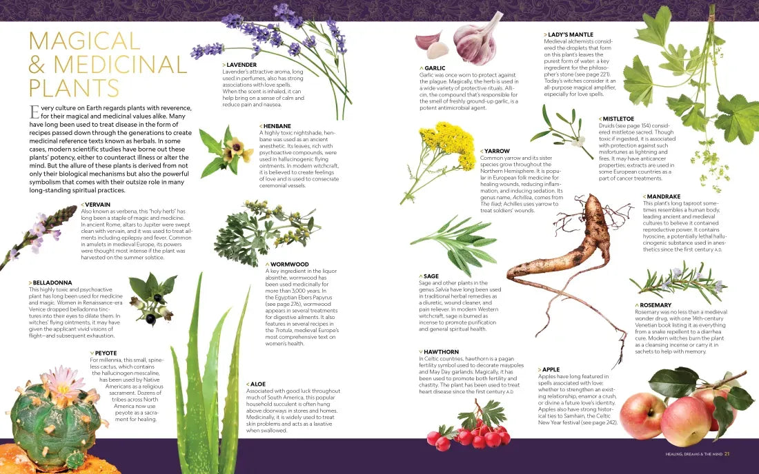 National Geographic Book of Magic and the Occult US - Hardback