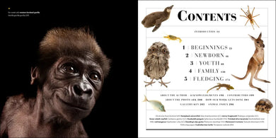 National Geographic Photo Ark Babies US - Hardback
