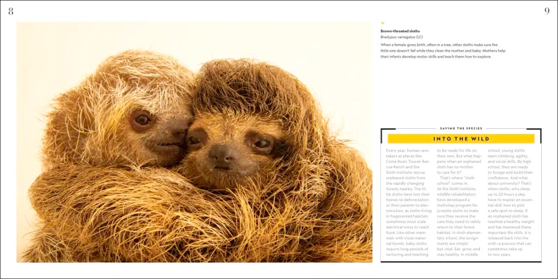 National Geographic Photo Ark Babies US - Hardback