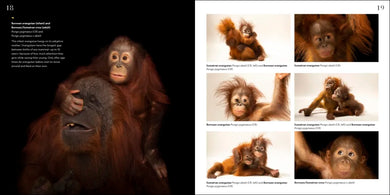 National Geographic Photo Ark Babies US - Hardback