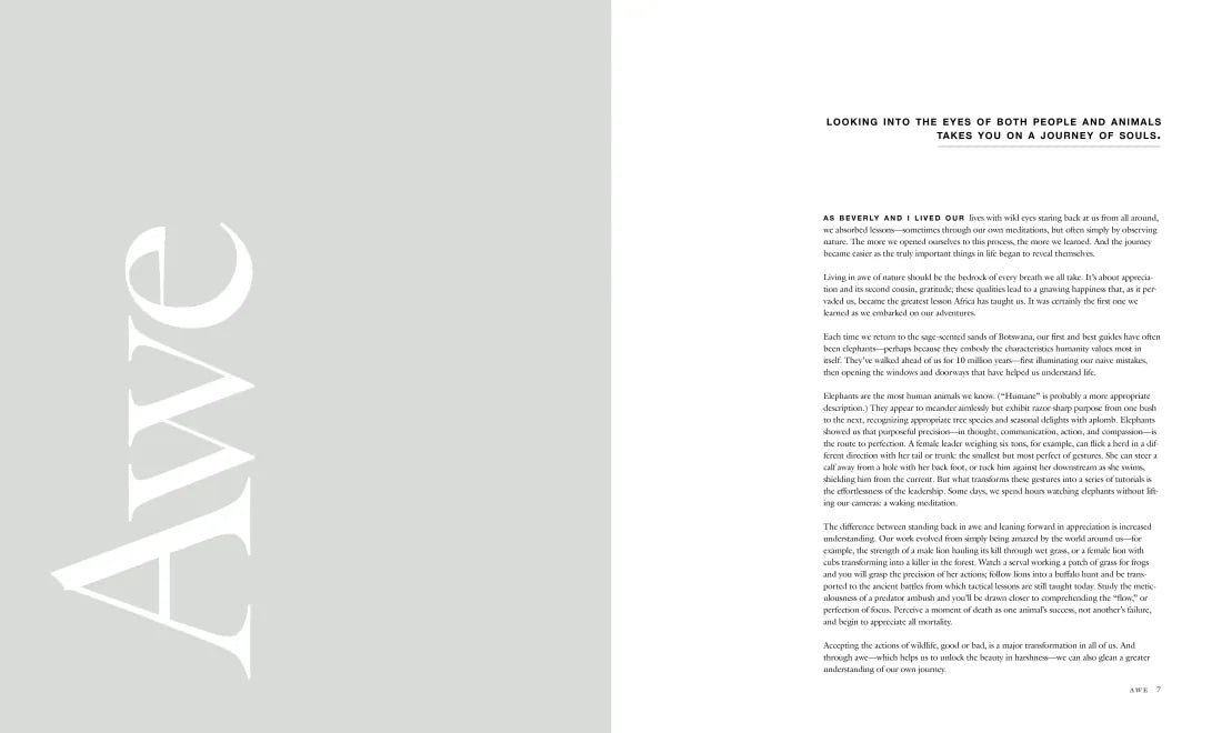 Wild Eye US - Hardback